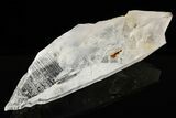 Striated Colombian Quartz Crystal - Peña Blanca Mine #189716-1